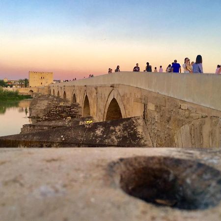 شقة قرطبة  في Ribera Del Quivir المظهر الخارجي الصورة