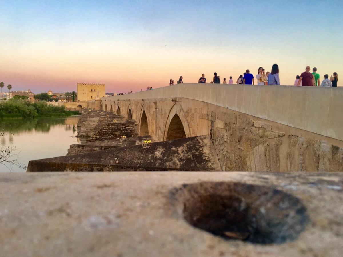 شقة قرطبة  في Ribera Del Quivir المظهر الخارجي الصورة